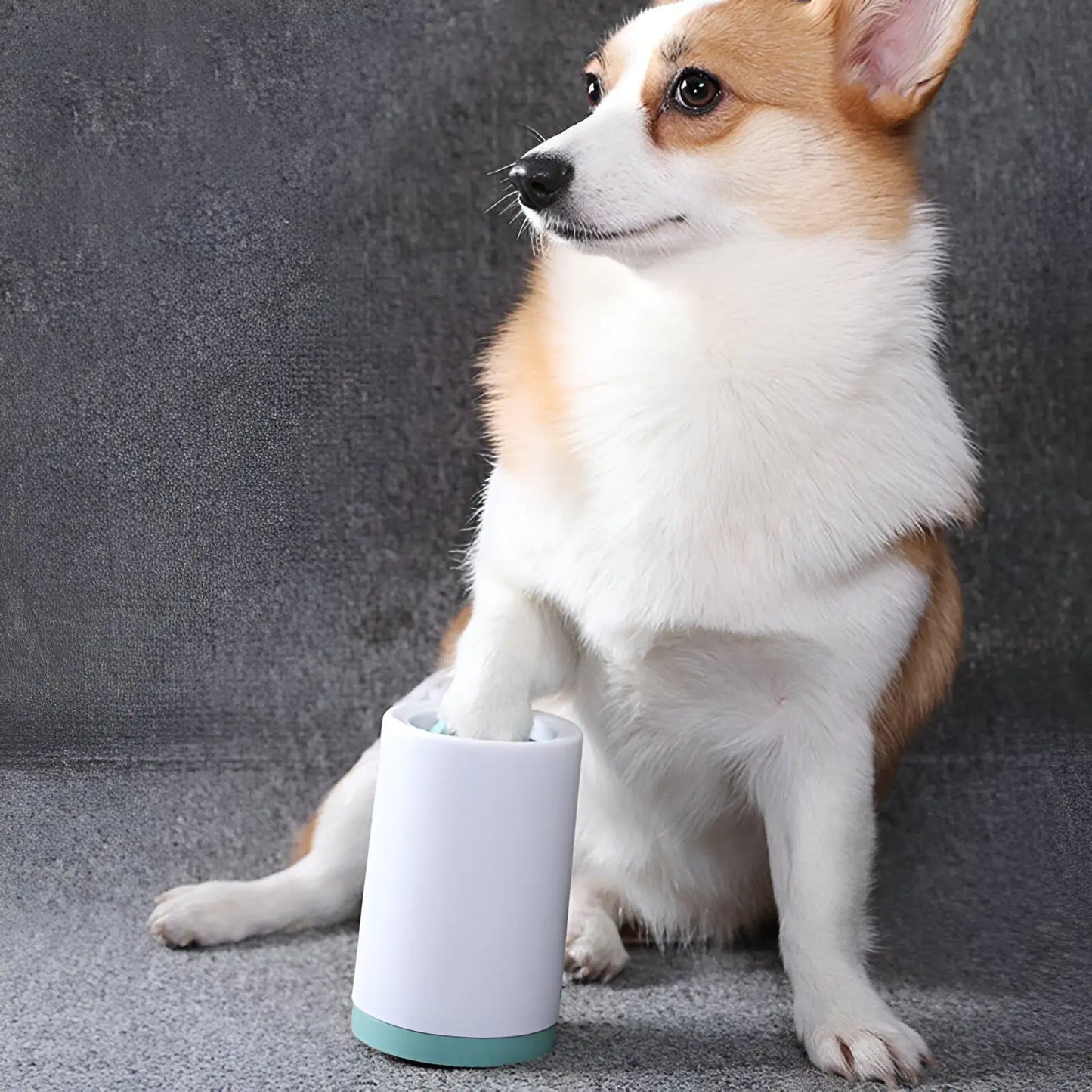 Petful Portable Paw Cleaner For Dogs